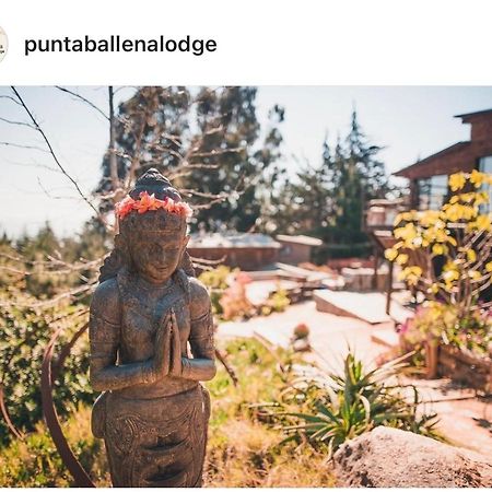 Punta Ballena Lodge Pichilemu Dış mekan fotoğraf