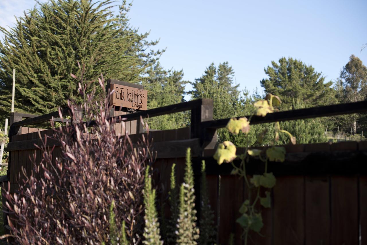 Punta Ballena Lodge Pichilemu Dış mekan fotoğraf